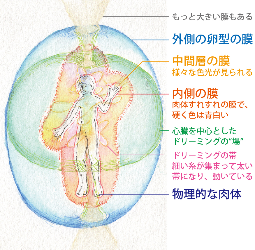 Sac Sacred Awakening Circle 深瀬 Sac Sacred Awakening Circle 深瀬